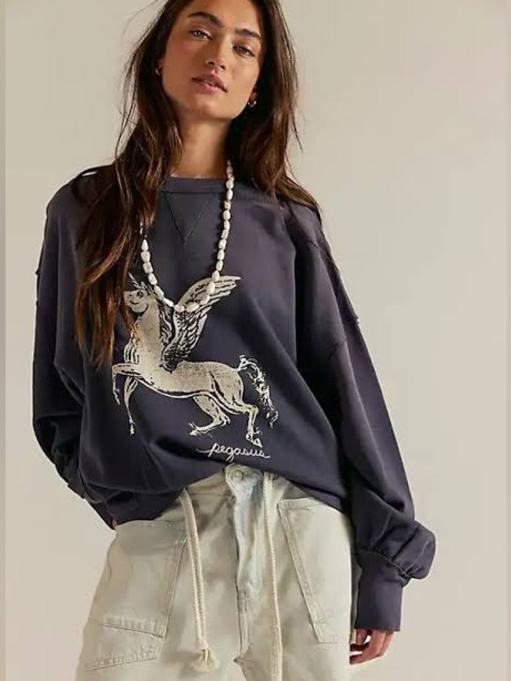 We The Free Dicey Pegasus Sweatshirt 🔥 free people